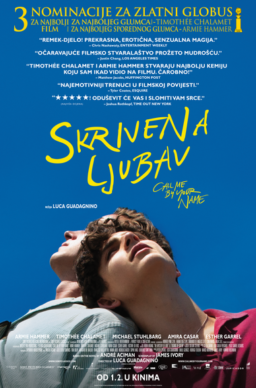 Skrivena ljubav