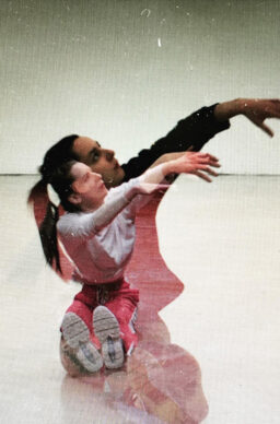 Ostaci izdržljivosti/ Raslojavanje nevidljivog