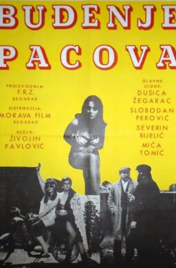 Buđenje pacova