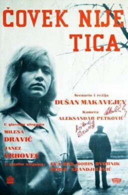 Čovek nije tica